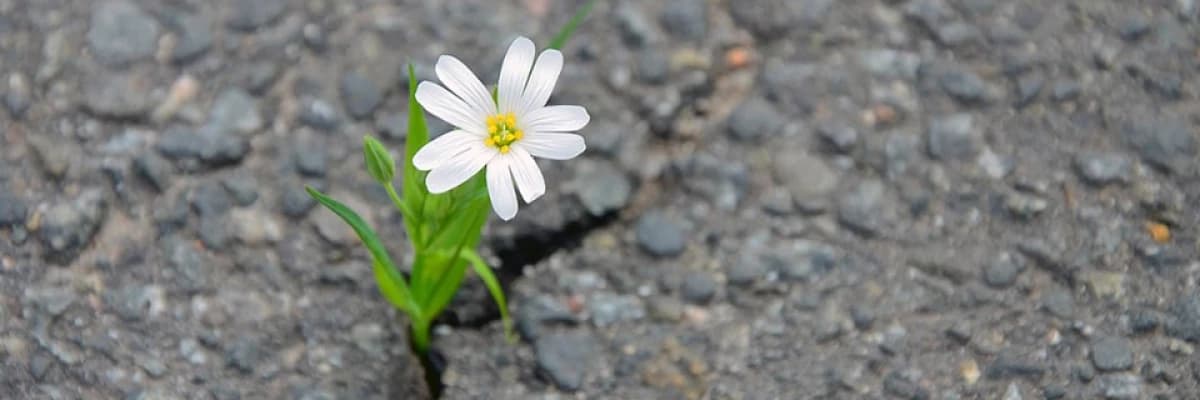 Çocuk ve ergenlerde psikolojik sağlamlığın önemi
