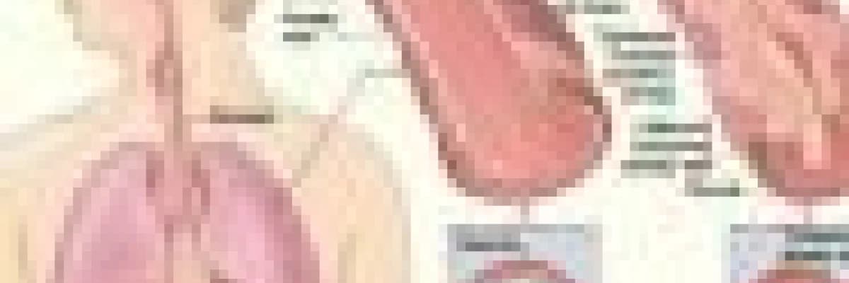 Astımın Akupunktur ile tedavisi