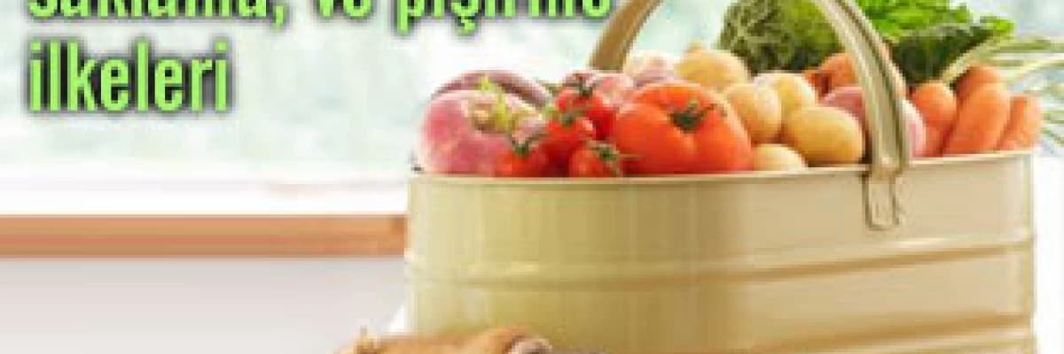 Besinleri satınalma, saklama, hazırlama ve pişirme ilkeleri