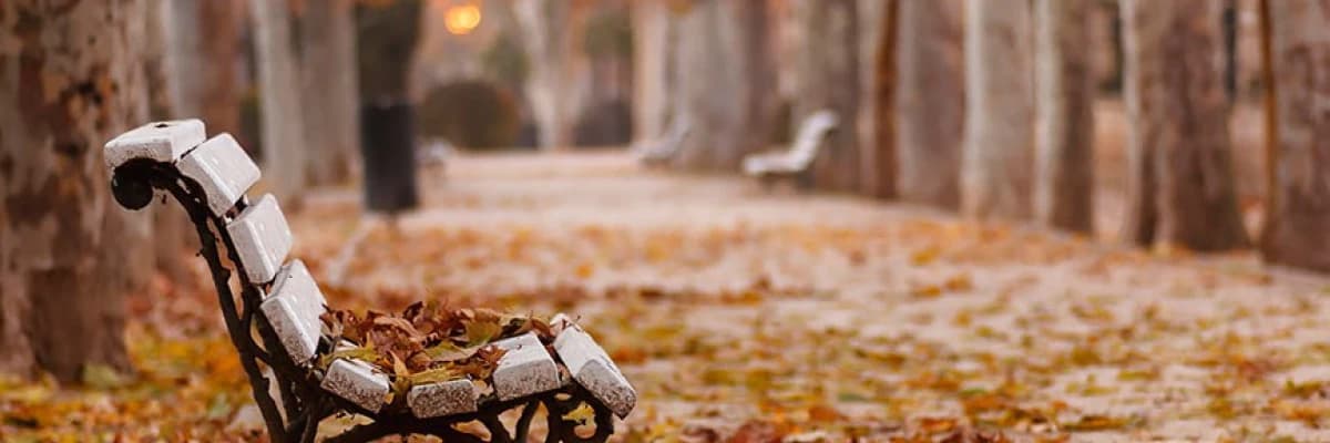 Mevsim Değişikliğinin İnsanın Alışveriş Davranışı Üzerinde Etkisi