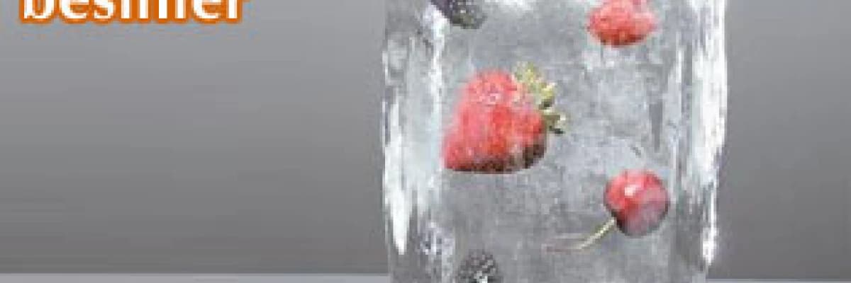 Dondurulmuş besinler