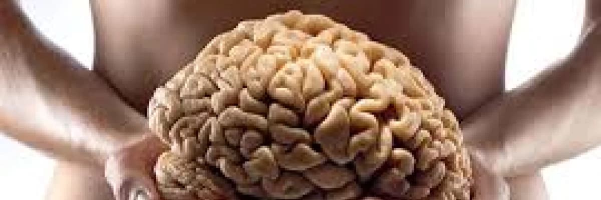 SAĞLIKLI ZAYIFLAMA, GAPS DİYETİ SİBO DİYETİ, CANDİDA DİYETİ ve DETOKS YAPILMASI GEREKLİLİĞİ