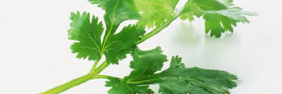 Zayıflama uğruna sağlığınızdan olmayın