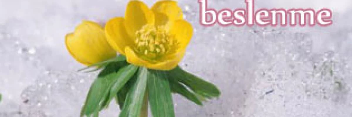 Kış aylarında beslenme