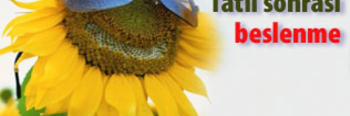 Tatil sonrası beslenme