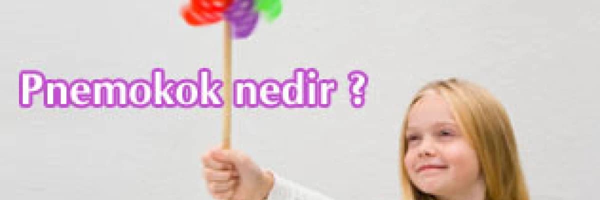 Pnemokok nedir ?