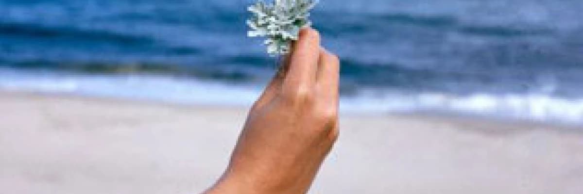 Cilt kanserleri, sebepleri ve tedavi süreci