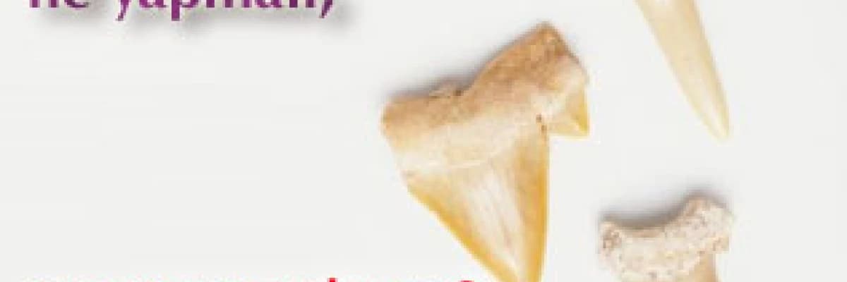 Dişimi çektirdim;ne yapmalı,ne yapmamalıyım?