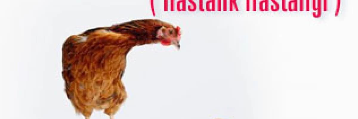 Hipokondriazis ( hastalık hastalığı )
