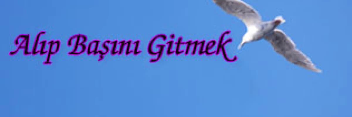 Alıp başını gitmek