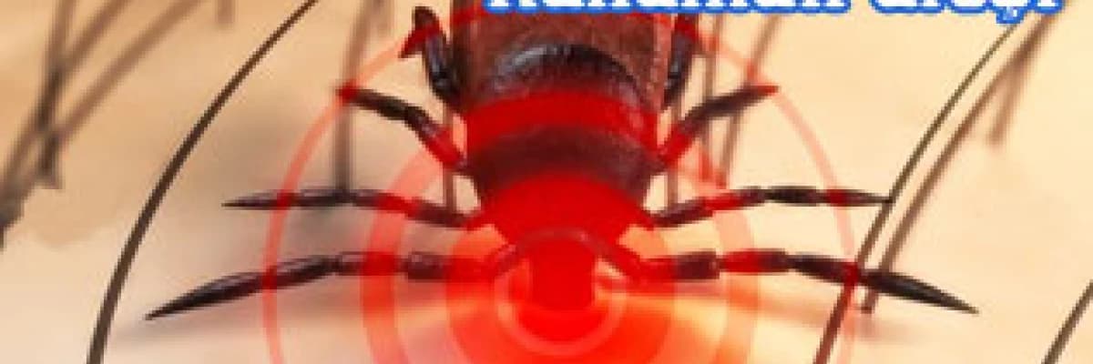 Kırım kongo kanamalı ateşi