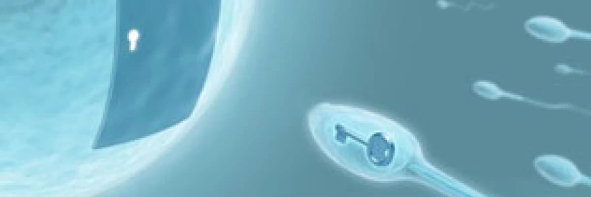 Sağlıklı spermlere sahip olmanın 10 yolu !