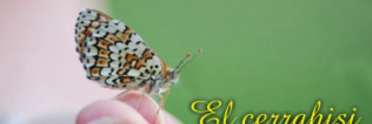 El cerrahisi ve plastik cerrahi