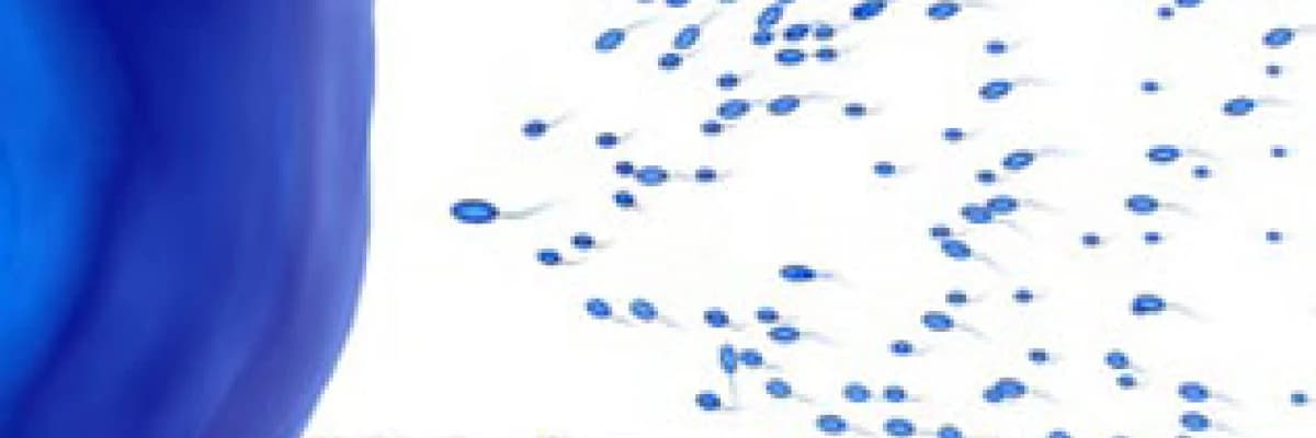 Kürtaj ve uygulaması