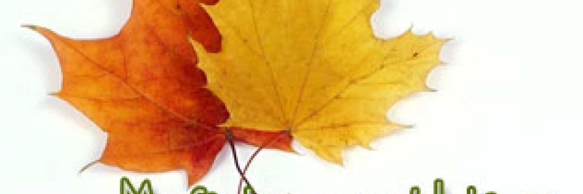 Mevsimler ve metabolizma