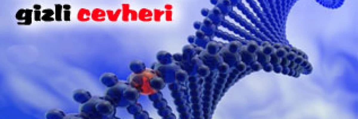 Vücudumuzun gizli cevheri