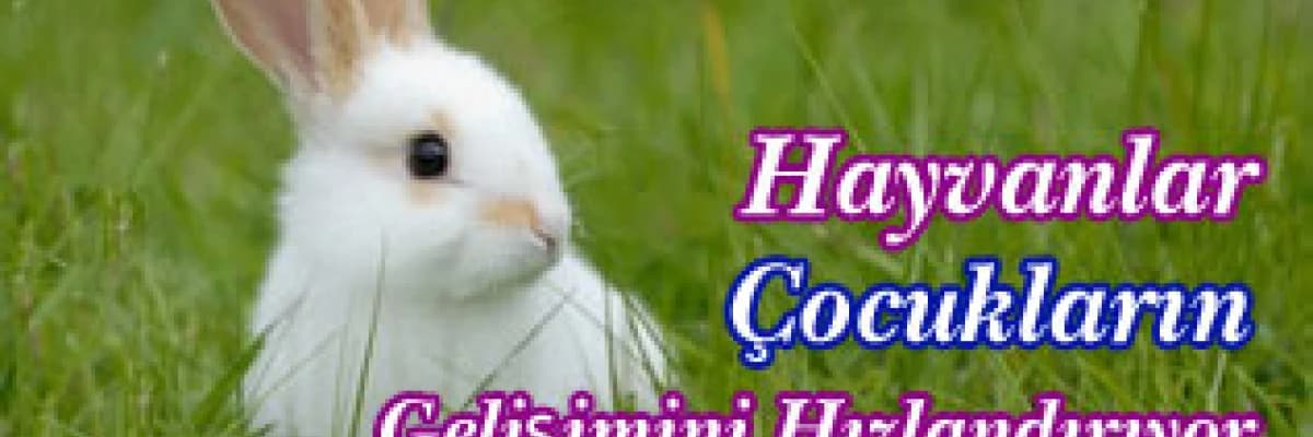 Hayvanlar Çocukların Gelişimini Hızlandırıyor...