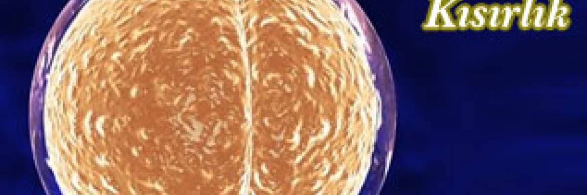 Kadınlarda kısırlık (infertilite)