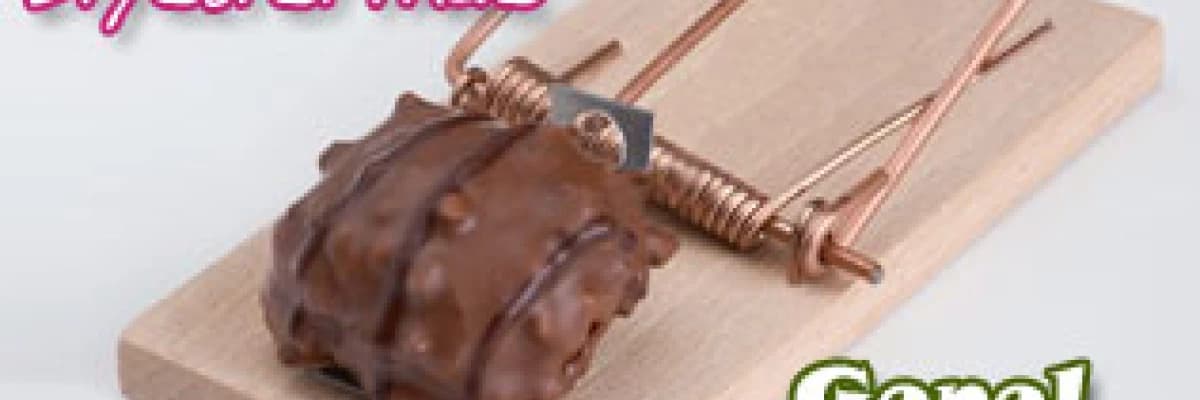 Zayıflama diyetlerinde genel ilkeler