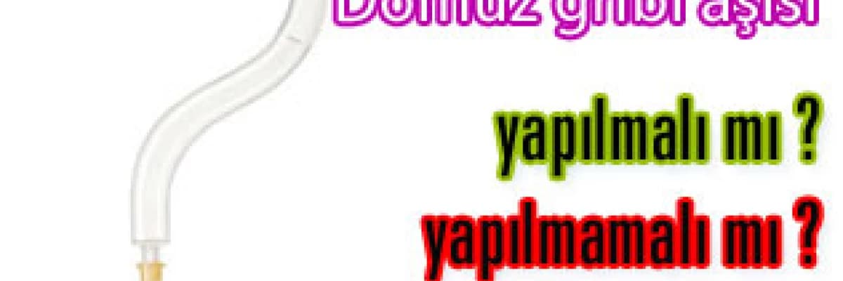 Domuz gribi aşısı yapılmalı mı yapılmamalı mı ?