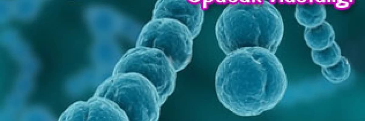 Enfeksiyöz Mononükleoz Öpücük Hastalığı