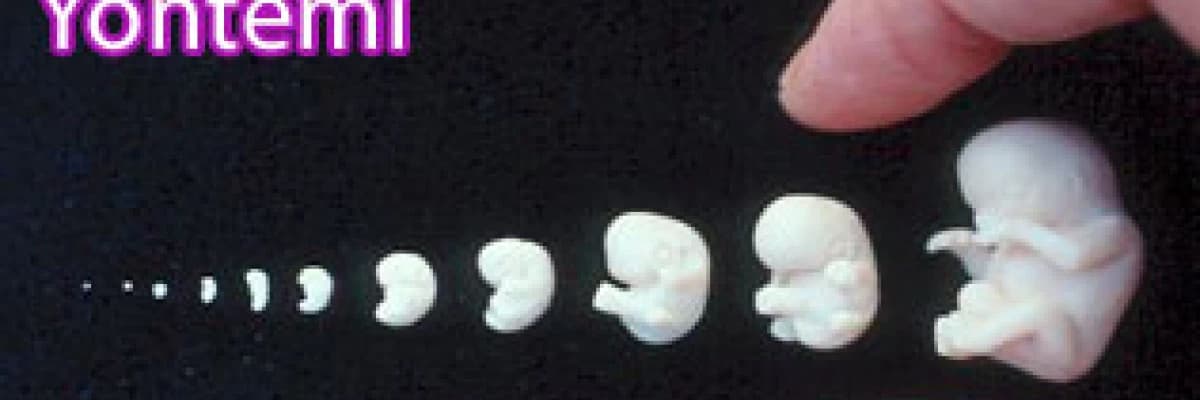 Yapay anne rahmi yöntemi, endometriyal ko-kültür