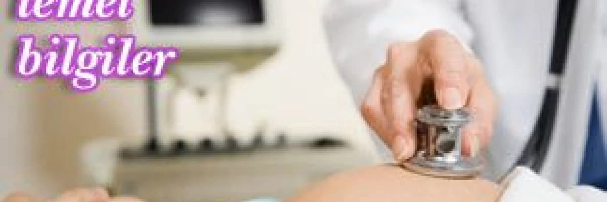 Gebelikte temel bilgiler