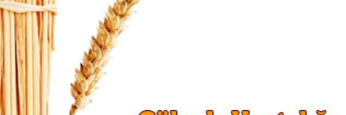  Çölyak Hastalığı