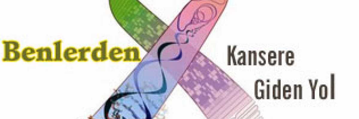 Benlerden kansere giden yol