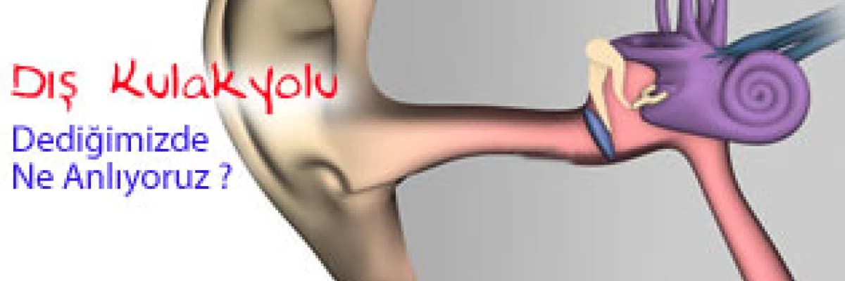 Dış kulakyolu dediğimizde ne anlıyoruz ?