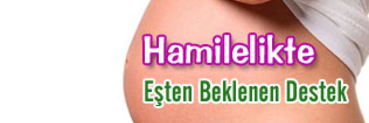Hamilelikte Eşten Beklenen Destek; Beklenen, Algınan Ve Yaşananlar