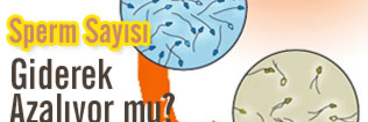 Sperm Sayısı Giderek Azalıyor mu?