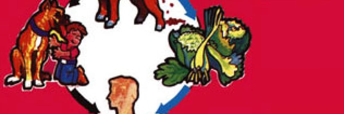 Akciğerin iltihabı hastalıkları kist hidatik hastalığı