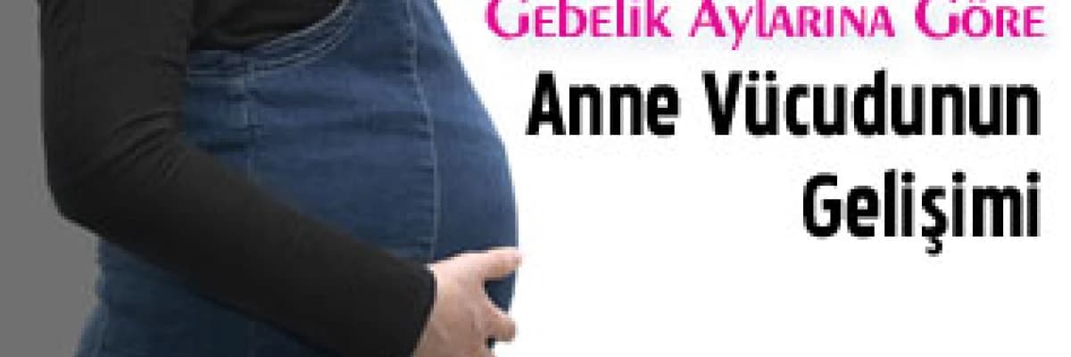 Gebelik aylarına göre anne vücudunun gelişimi