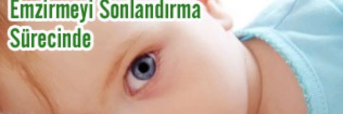 Emzirmeyi sonlandırma sürecinde annelere pratik öneriler