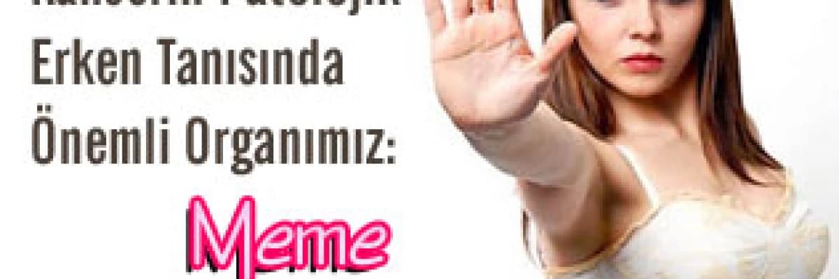 Kanserin patolojik erken tanısında önemli organımız: meme