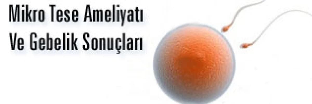 Azosperm tedavisi mikro tese ameliyatı ve gebelik sonuçları
