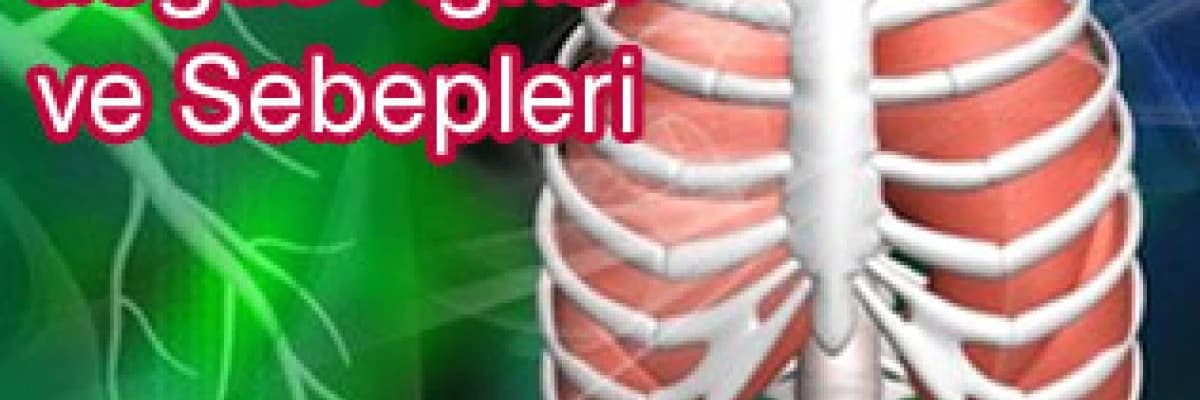 Göğüs ağrısı ve sebepleri