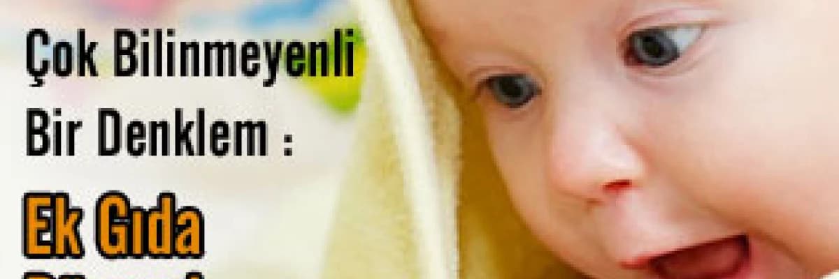 ÇOK BİLİNMEYENLİ BİR DENKLEM:     EK GIDA DÖNEMİ