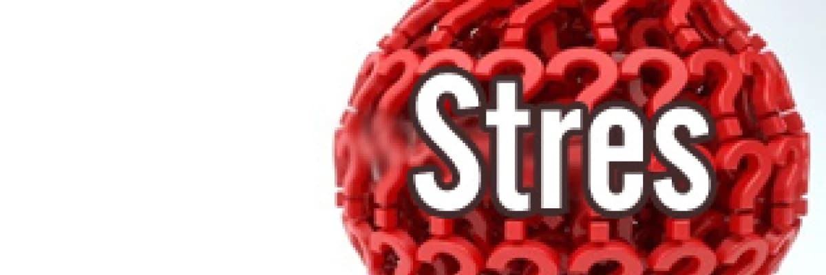 Stres ve Stres Kaynakları