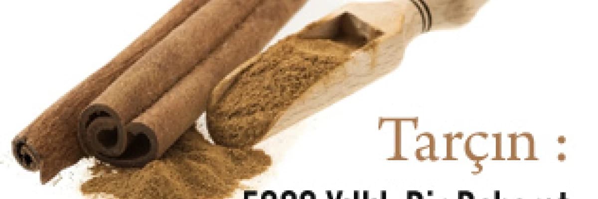 Tarçın : 5000 yıllık bir baharat