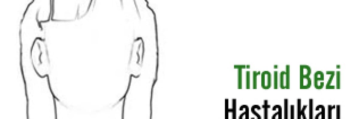 Tiroid bezi nerede bulunur ve görevleri nelerdir?
