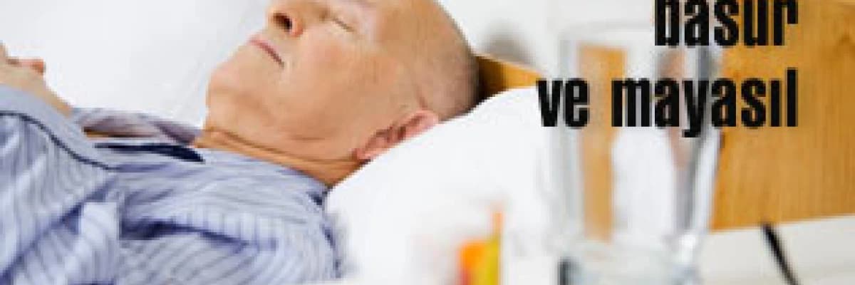 Hemoroid, basur ve mayasıl