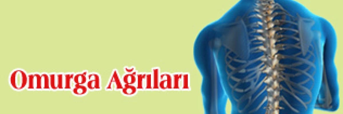Omurga ağrıları