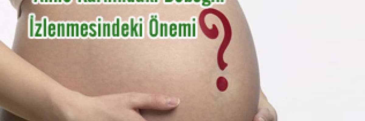 4 boyutlu usg'nin anne karnındaki bebeğin izlenmesindeki önemi
