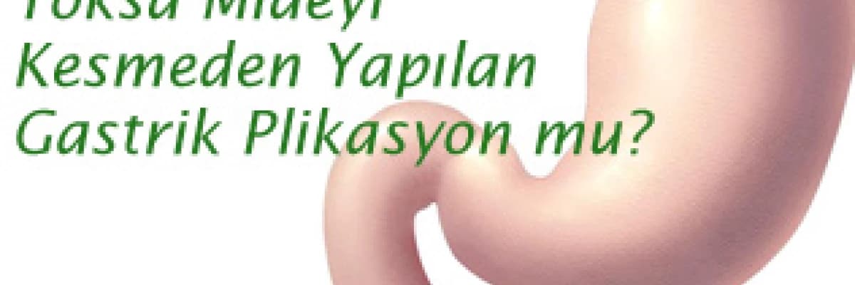 Tüp mide mi yoksa mideyi kesmeden yapılan gastrik plikasyon mu?