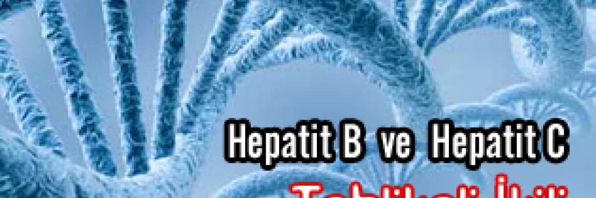 Hepatit B  ve  Hepatit C - Tehlikeli  İkili