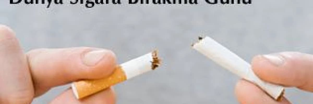 31 mayıs dünya sigara bırakma günü