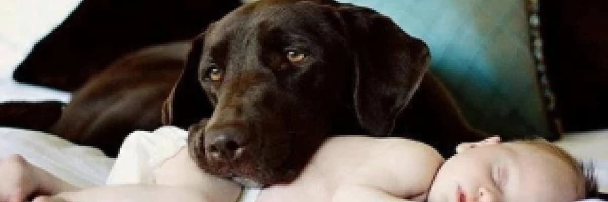 Emzirmenin Bebek İçin Yararları