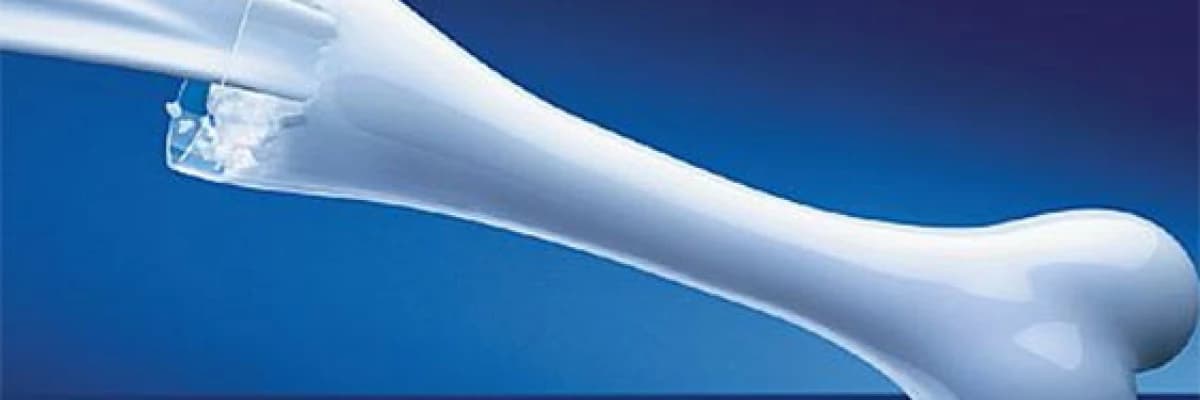 50 yaşından sonra değil, yaşam boyu kalsiyum !